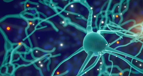 專訪再生生物 像預防疾病一樣抗衰，AI制藥與細胞技術重塑抗衰老未來