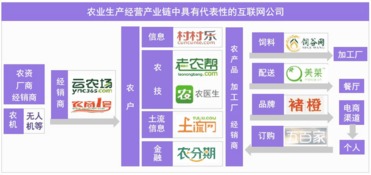 從美日現(xiàn)代農(nóng)業(yè)發(fā)展進(jìn)程，看互聯(lián)網(wǎng)將如何改造中國的農(nóng)業(yè)技術(shù)服務(wù)——以河南為例